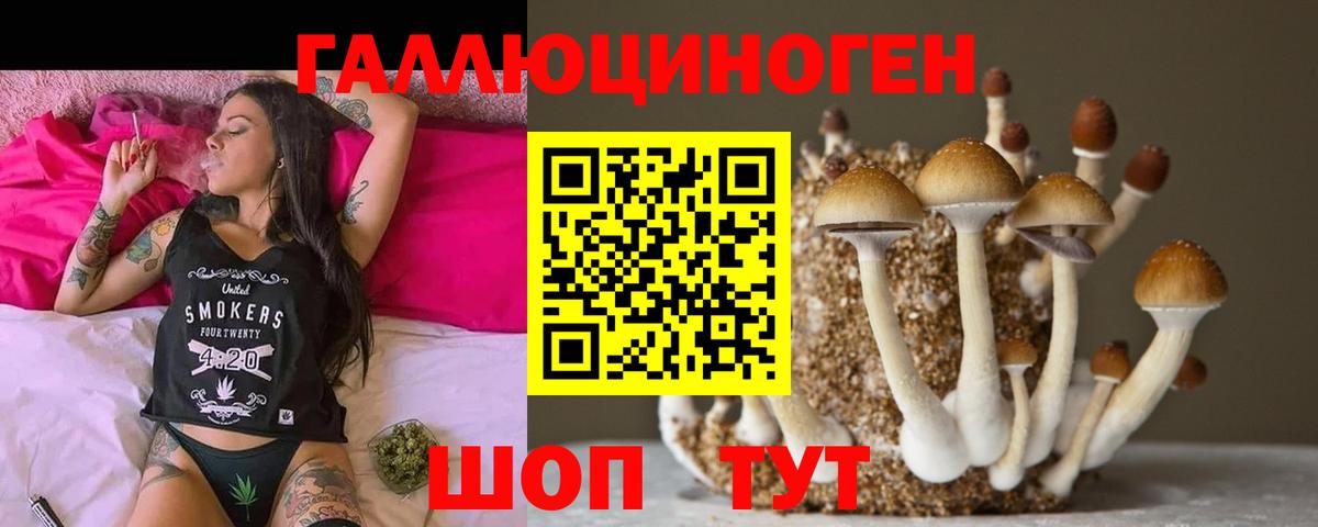 Псилоцибиновые грибы Psilocybine cubensis Семёнов